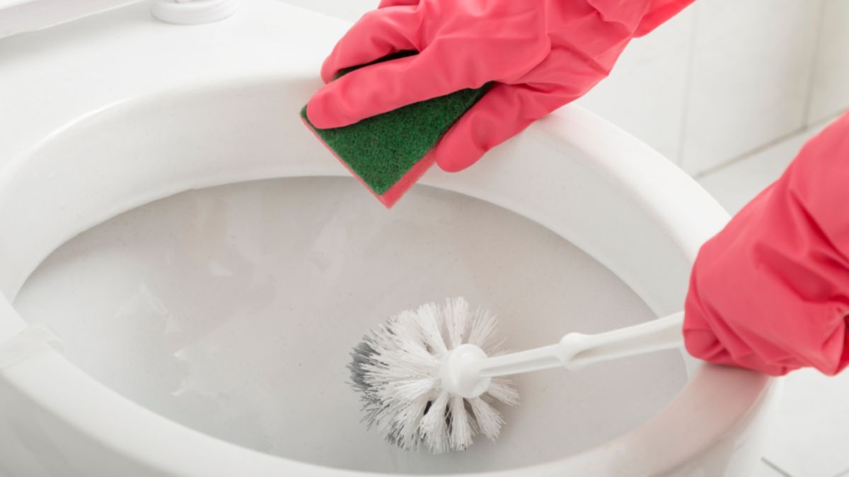 Cómo eliminar el sarro del inodoro en simples pasos. 