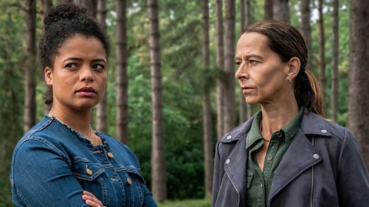 Netflix: la perturbadora serie de misterio y crimen que se puede ver en ...
