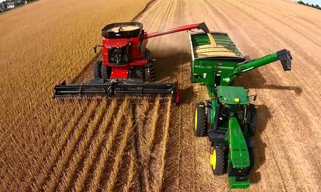 Campo: Prevén cosecha récord, cuál será el impacto en la economía