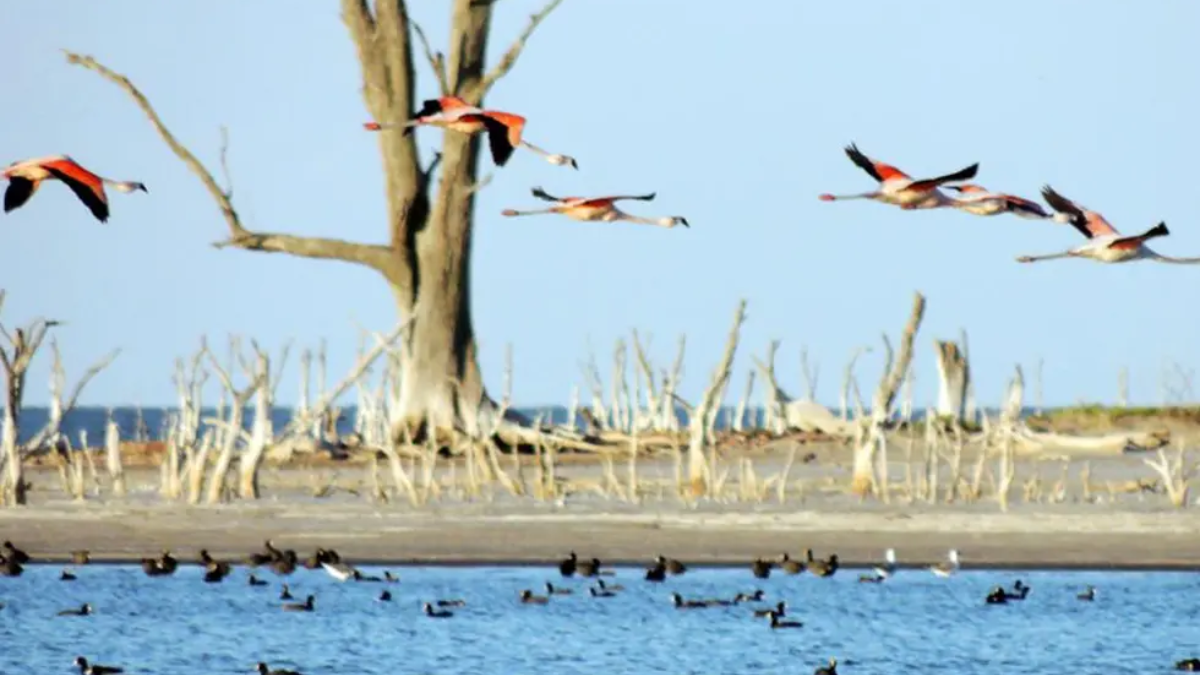 Miramar de Ansenuza Miramar de Ansenuza