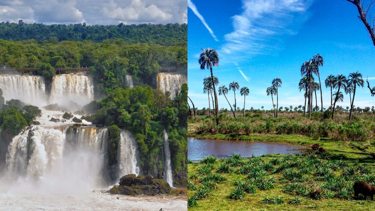 Misiones y Entre Ríos brillaron en la FIT 2025 con naturaleza, aventura y nuevas propuestas turísticas
