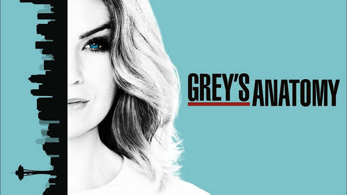 La temporada 16 de Greys Anatomy ya est disponible en Netflix Latam