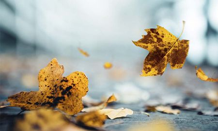 La astronomía tiene una buena noticia para quienes están cansados del verano: el otoño comienza este 20 de marzo. La astronomía tiene una buena noticia para quienes están cansados del verano: el otoño comienza este 20 de marzo.
