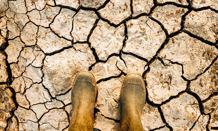 Las temperaturas globales alcanzaron récords máximos el lunes 3 de julio (17°) para ser superadas el martes 4 de julio (17,18°), en una escalada con final incierto. Las temperaturas globales alcanzaron récords máximos el lunes 3 de julio (17°) para ser superadas el martes 4 de julio (17,18°), en una escalada con final incierto.