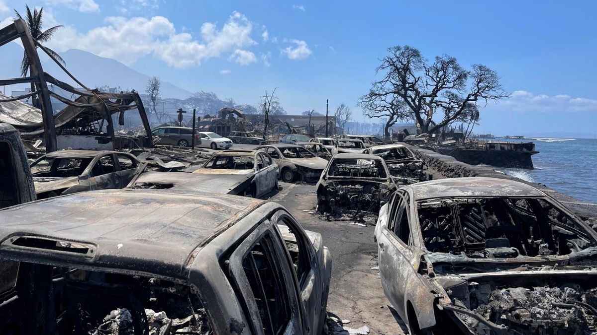 Autos incendidos, en Lahaina, Hawái. Autos incendidos, en Lahaina, Hawái.