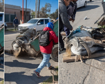 El video se viralizó en cuestión de minutos, despertando una ola de reprobaciones y críticas por la forma en que se manejaron los explotadores del caballo. El video se viralizó en cuestión de minutos, despertando una ola de reprobaciones y críticas por la forma en que se manejaron los explotadores del caballo.