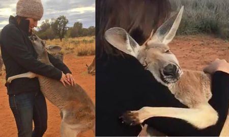 ¡que ternura! un cangurito bebe no dejaba de abrazar a voluntarios que lo rescataron de los incendios en australia ¡que ternura! un cangurito bebe no dejaba de abrazar a voluntarios que lo rescataron de los incendios en australia
