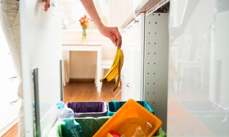 Científicos logran convertir desechos de alimentos en energía limpia Científicos logran convertir desechos de alimentos en energía limpia