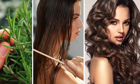 Cuida tu cabello con romero: 3 trucos caseros para fortalecer y restaurar Cuida tu cabello con romero: 3 trucos caseros para fortalecer y restaurar