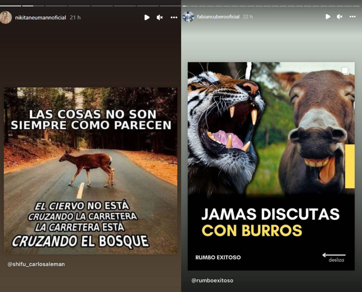 Nicole Neumann y Fabián Cubero se tiraron indirectas en redes sociales. (Foto: Instagram @nikitaneumannoficial // @fabiancuberooficial)