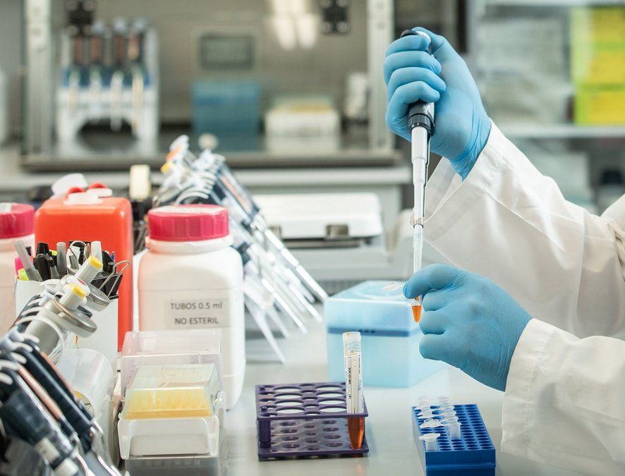 El laboratorio argentino Inmunova había informado el 2 de diciembre último que había presentado ante la ANMAT los resultados del estudio clínico del suero equino hiperinmune, para su aprobación como tratamiento para el coronavirus. Foto: Télam