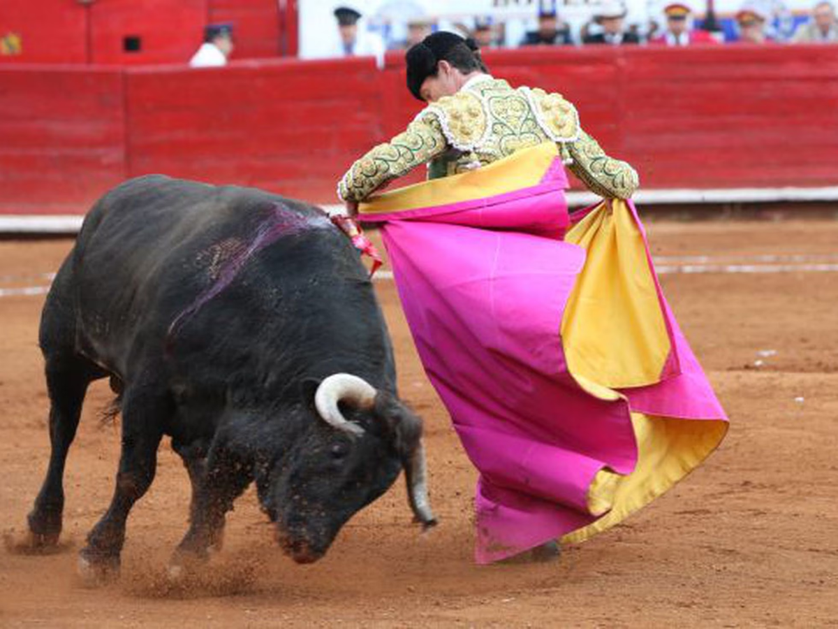 No es la primera vez en el último tiempo en que, en España, un toro ultima a un torero.