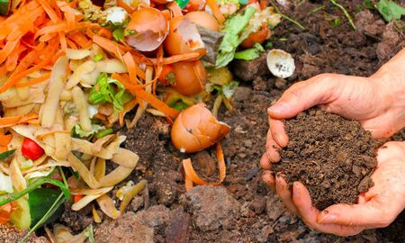 Abono orgánico para aportarle nutrientes a las plantas Abono orgánico para aportarle nutrientes a las plantas