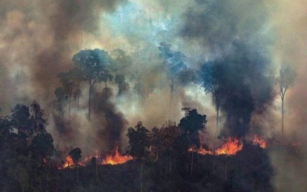África arde más que el Amazonas: por qué se quema el segundo pulmón del mundo y cuáles son las consecuencias