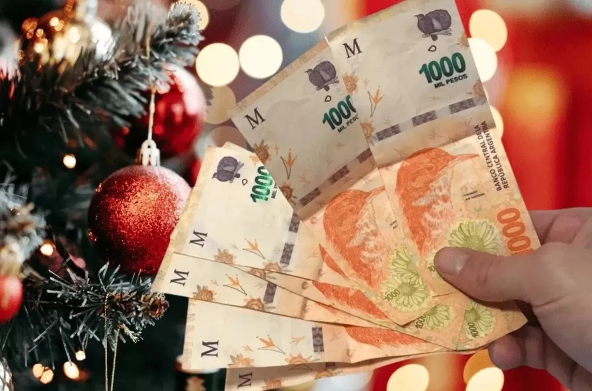 Bono Pami para jubilados Anses: calendario de cobro de diciembre 2022