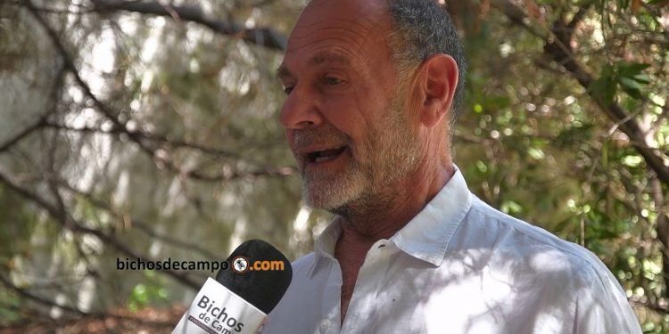 Gorelik: “El 70% de la carne que China compra es de la Argentina, Brasil y Uruguay”