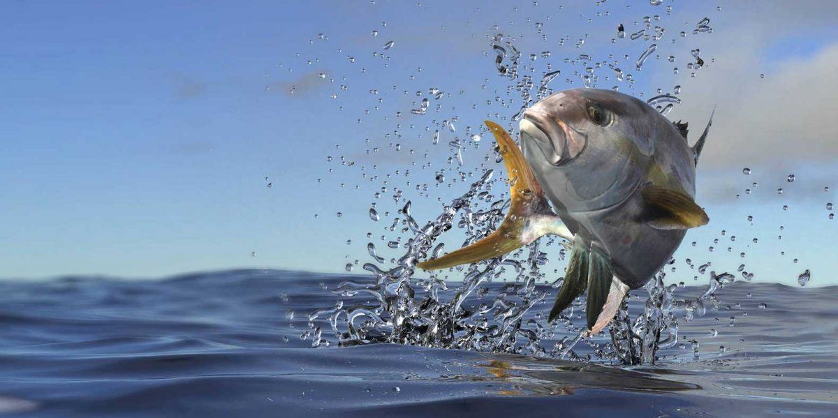 El agua suministrada contenía pequeñas sustancias que produjeron la alteración de los animales.&nbsp;