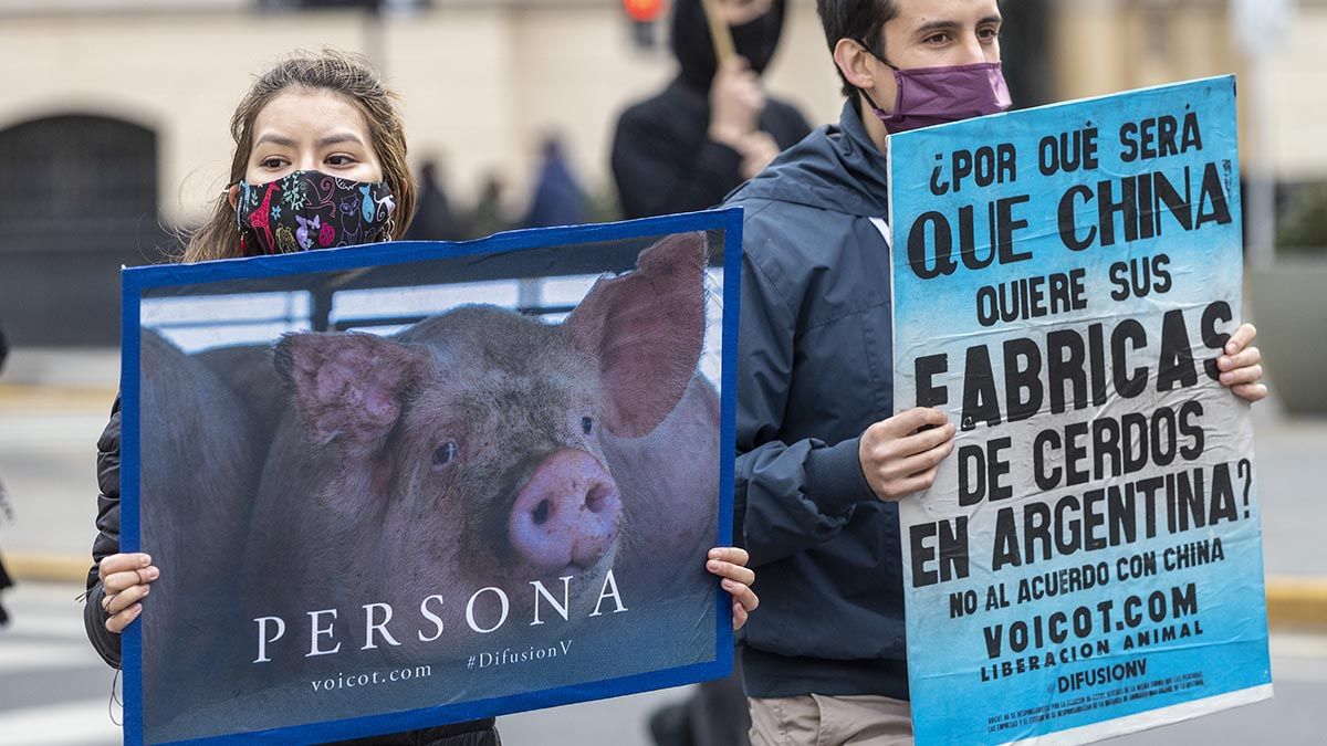 El posible acuerdo porcino con China