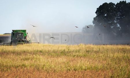El Banco Central aprobó este martes un tipo de cambio especial para que los productores de soja aceleren la liquidación de su cosecha hasta el próximo 31 de agosto. El Banco Central aprobó este martes un tipo de cambio especial para que los productores de soja aceleren la liquidación de su cosecha hasta el próximo 31 de agosto.
