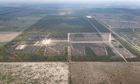 reglamento antideforestacion de la union europea: que impacto tendra en la soja argentina reglamento antideforestacion de la union europea: que impacto tendra en la soja argentina