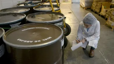 Exportaciones de miel: Argentina casi duplicó ventas y marcó un récord histórico Exportaciones de miel: Argentina casi duplicó ventas y marcó un récord histórico