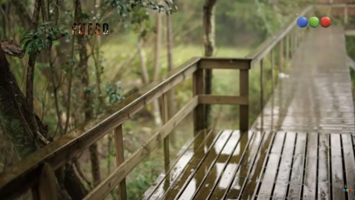Madera y vegetación, la combinación perfecta para estar en contacto con la naturaleza en la casa de retiro de Germán Martitegui.