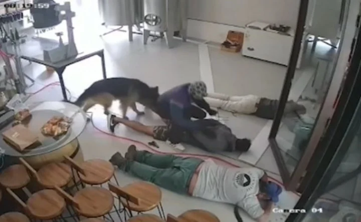 Córdoba: uno de los delincuentes maniata a los empleados de la vinería. Foto: Captura de video