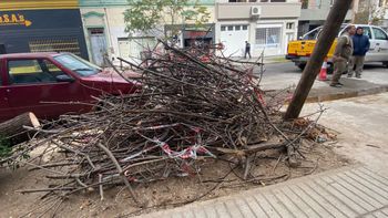 Un camión arrancó un árbol y provocó que un comercio quede sin internet y no pueda cobrar: así se resolvió con la intervención de AIRE.