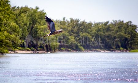 el parque nacional islas de santa fe da un paso decisivo el parque nacional islas de santa fe da un paso decisivo