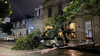 Un árbol cayó encima de dos autos tras los fuertes vientos de este miércoles