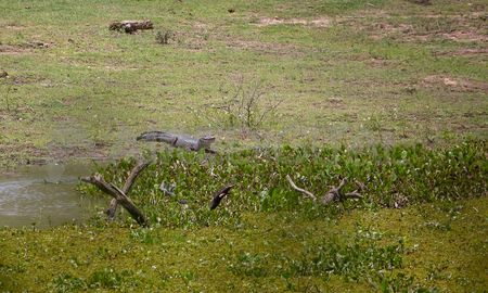 Santa Fe es la provincia con mayor cantidad de humedales protegidos por ley internacional: el Jaaukanigás en el extremo noreste, el área de Islas del Paraná en la zona de Puerto Gaboto, y la laguna de Melincué en el sur. Santa Fe es la provincia con mayor cantidad de humedales protegidos por ley internacional: el Jaaukanigás en el extremo noreste, el área de Islas del Paraná en la zona de Puerto Gaboto, y la laguna de Melincué en el sur.