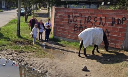 Hallan mutiladas un par de piernas en un basural de Villa Fiorito Hallan mutiladas un par de piernas en un basural de Villa Fiorito