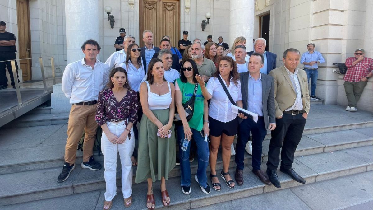 Legisladores de la Comisión de Asuntos Laborales, Gremiales y de Previsión recibieron un petitorio con reclamos por parte de los manifestantes.
