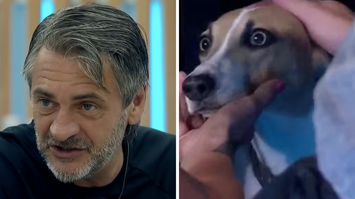 Preocupa los ataques agresivos de Arturo en Gran Hermano.