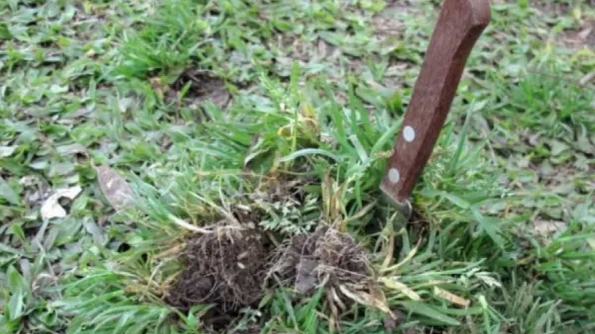 En algunas provincias se clava un cuchillo en la tierra para cortar la tormenta. En algunas provincias se clava un cuchillo en la tierra para cortar la tormenta.