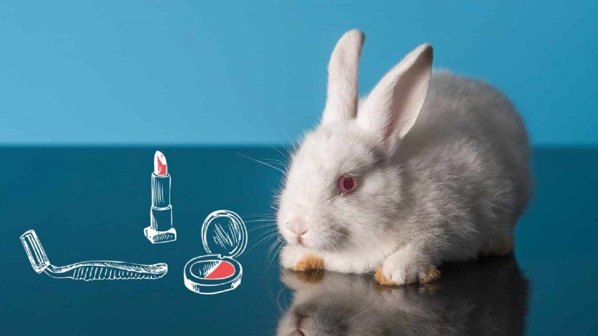 Maquillaje Cruelty Free: ¿moda o llegó para quedarse?&nbsp;