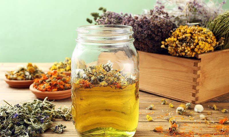 ¿Dolor de cabeza? Estas plantas medicinales te ayudarán