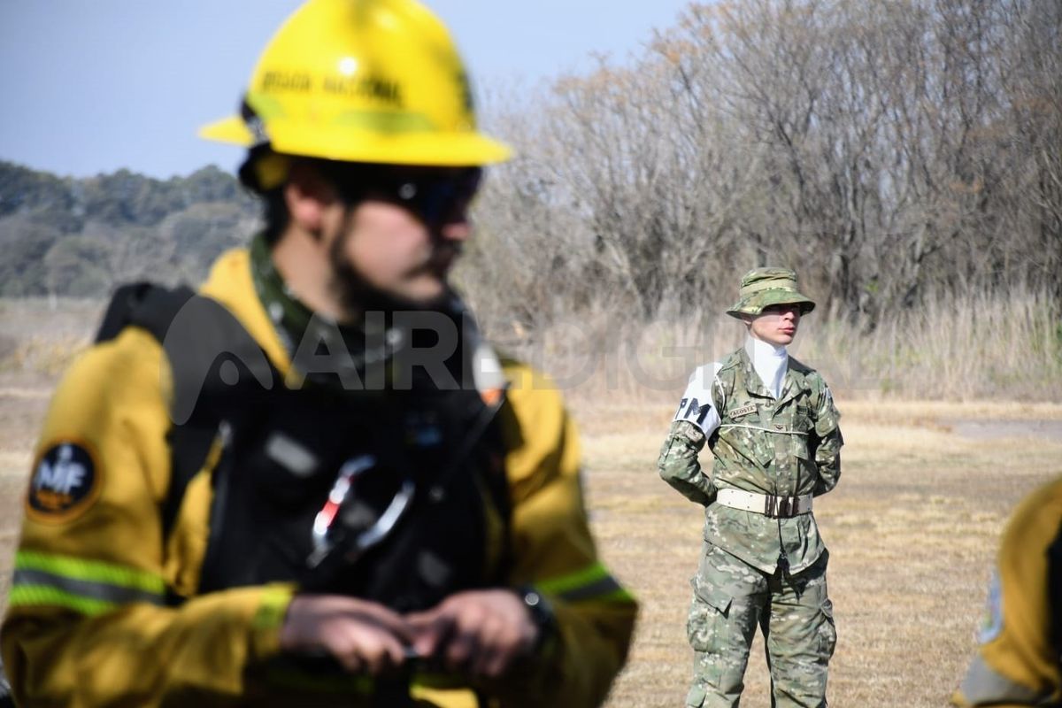 Buscan detener y prevenir las diferentes manifestaciones de los delitos ambientales.