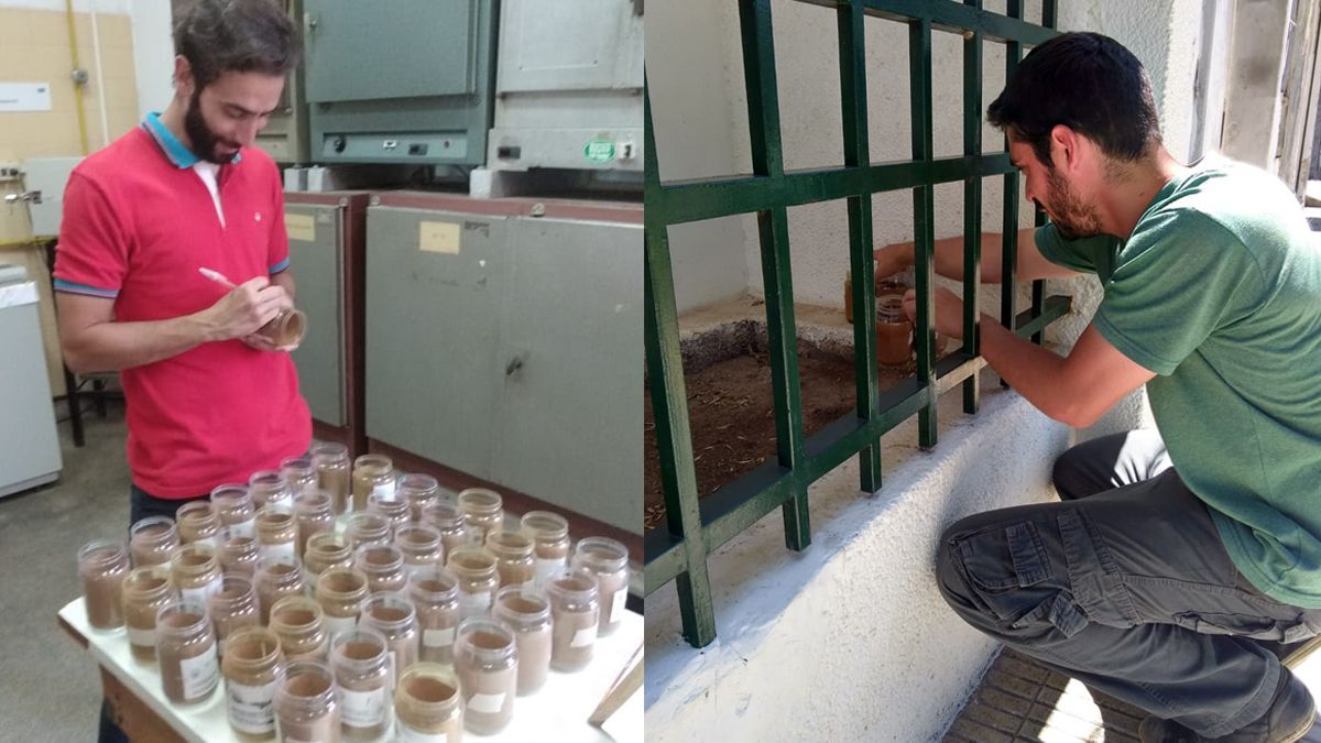 Los ovitrampas se colocaron en viviendas particulares,vecinales, clubes y otras asociaciones e instituciones barriales.