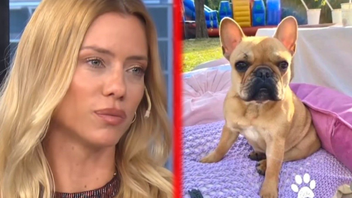 Nicole Neumann se mostró desesperada por encontrar a su perrita y le pidió ayuda a sus seguidores: ¡Shiva te estamos buscando!