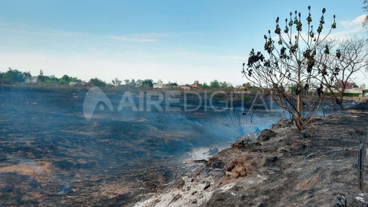 El incendio afectó varias hectáreas de la cava ubicada detrás del camping de UPCN.