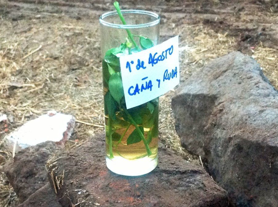 caña.jpg