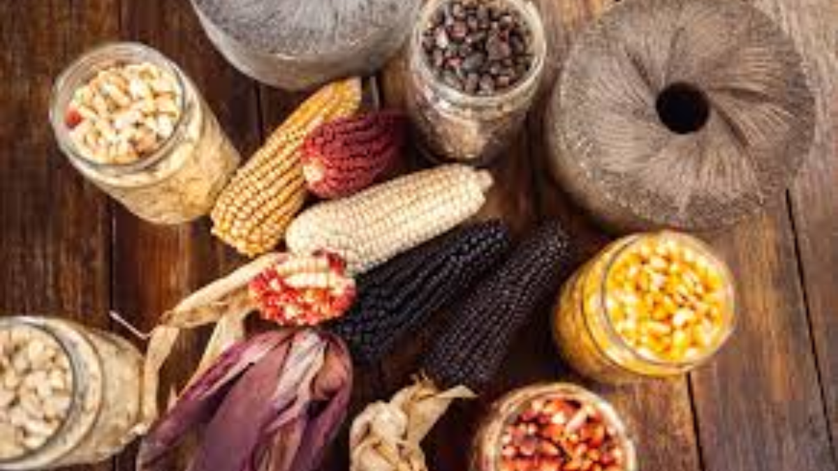 Las dietas tradicionales e indígenas ayudan a respetar el medio ambiente. Las dietas tradicionales e indígenas ayudan a respetar el medio ambiente.