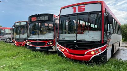Asamblea de colectiveros de la Línea 15 tras el ataque a un chofer: cuándo se retoma el servicio