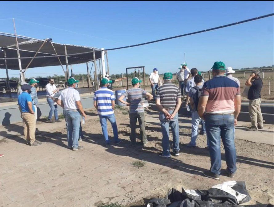 El aumento en el costo de los fertilizantes empujó a los productores a subirse al paradigma del biodigestor.