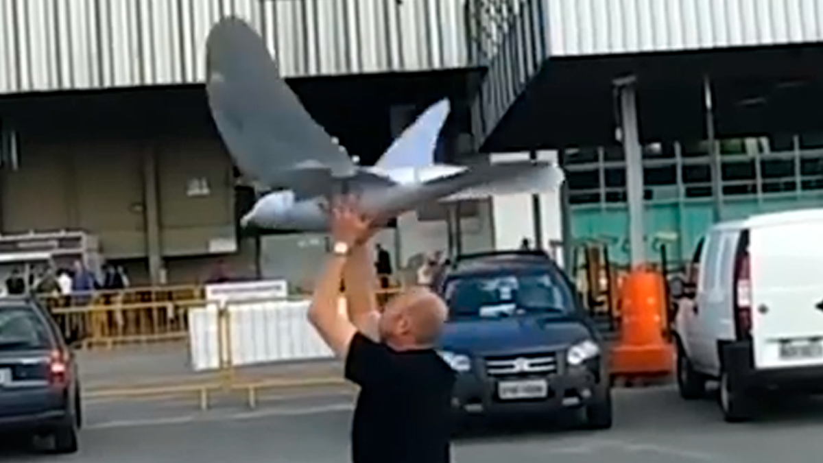 Los pájaronegacionistas aseguran que fue Barack Obama quien advirtió originalmente sobre este proyecto del Estado. Las aves robot serían utilizadas para&nbsp;monitorear a la población desde el 26 de octubre de 2001.&nbsp;