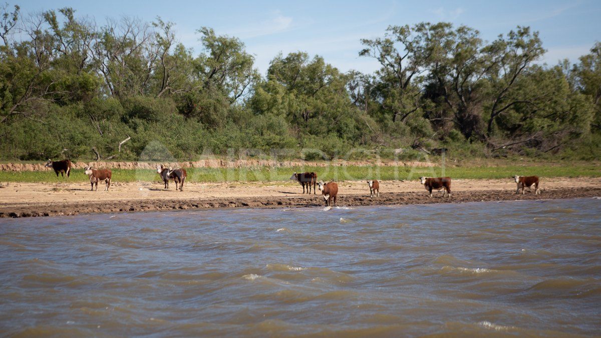 Estos ecosistemas presentan características particulares que afectan la producción forrajera, la sanidad animal y la gestión del agua, lo que hace imprescindible un enfoque basado en la ciencia. Estos ecosistemas presentan características particulares que afectan la producción forrajera, la sanidad animal y la gestión del agua, lo que hace imprescindible un enfoque basado en la ciencia.