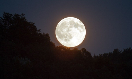 Luna en Piscis Luna en Piscis