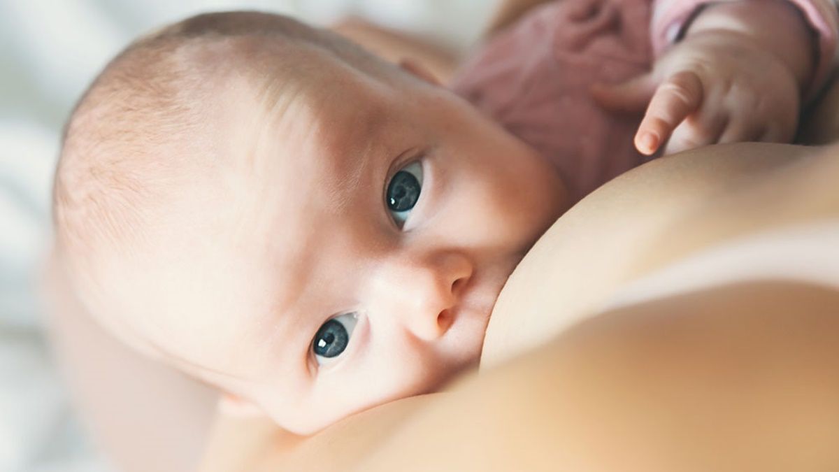 En esta fecha, hay especial hincapié en que la lactancia sea el único modo de alimentación del recién nacido. En esta fecha, hay especial hincapié en que la lactancia sea el único modo de alimentación del recién nacido.