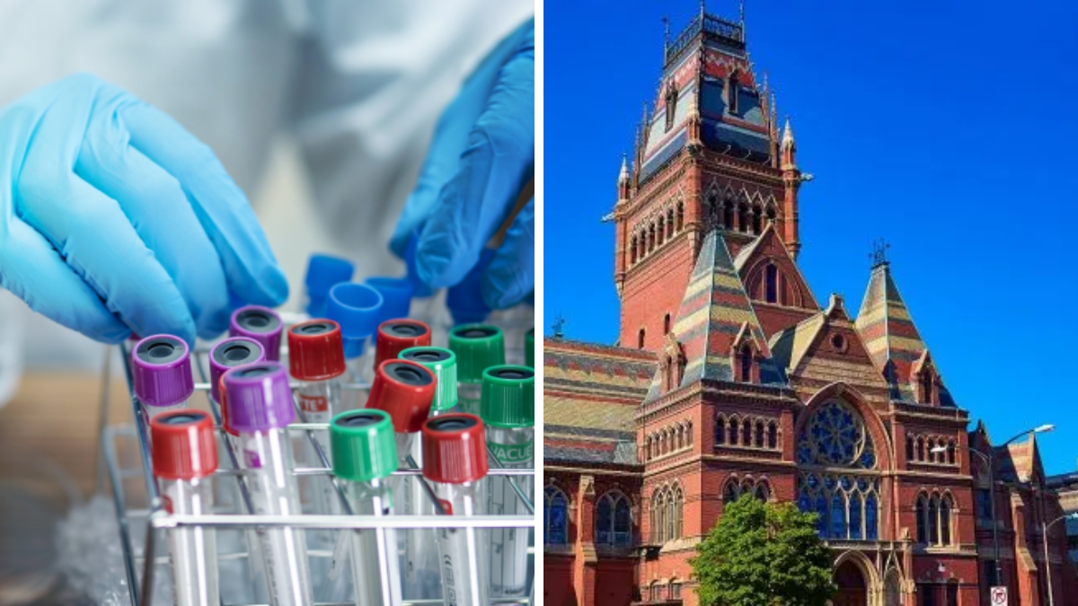 La Universidad de Harvard ofrece curso gratis para profesionales de la salud: cómo inscribirse